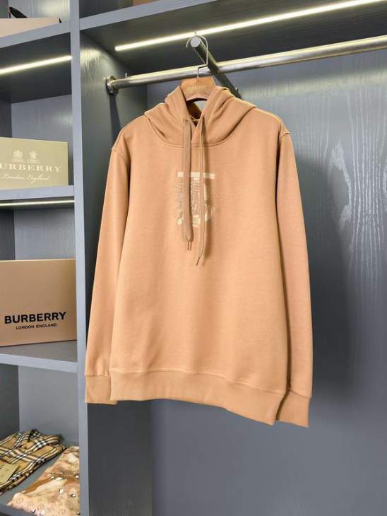 Picture of Burberry Hoodies _SKUBurberryS-2XLaztx87821855